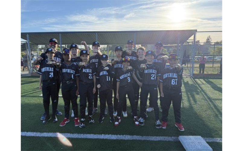 Congrats 2026 Majors Champs Black Sox